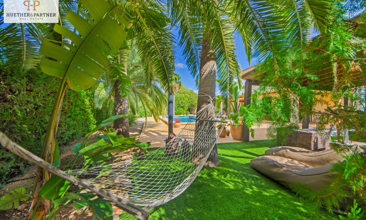 44a0cc6b-cb0e-41d9-9472-c83636c89fea