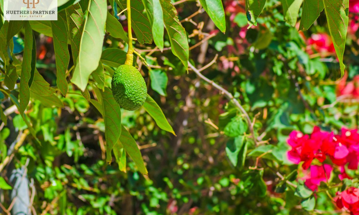 c2fbcaf6-3748-4d75-963d-a901d59b7f4b