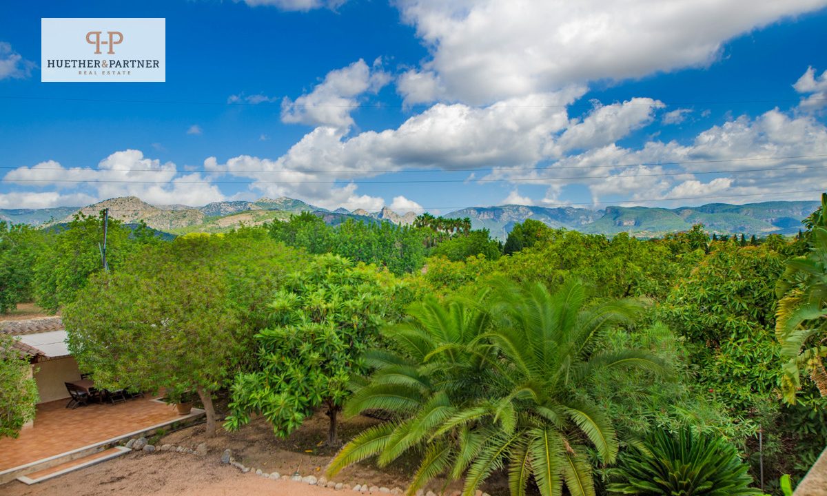 66932423-a681-4cdb-ba81-d66980115096