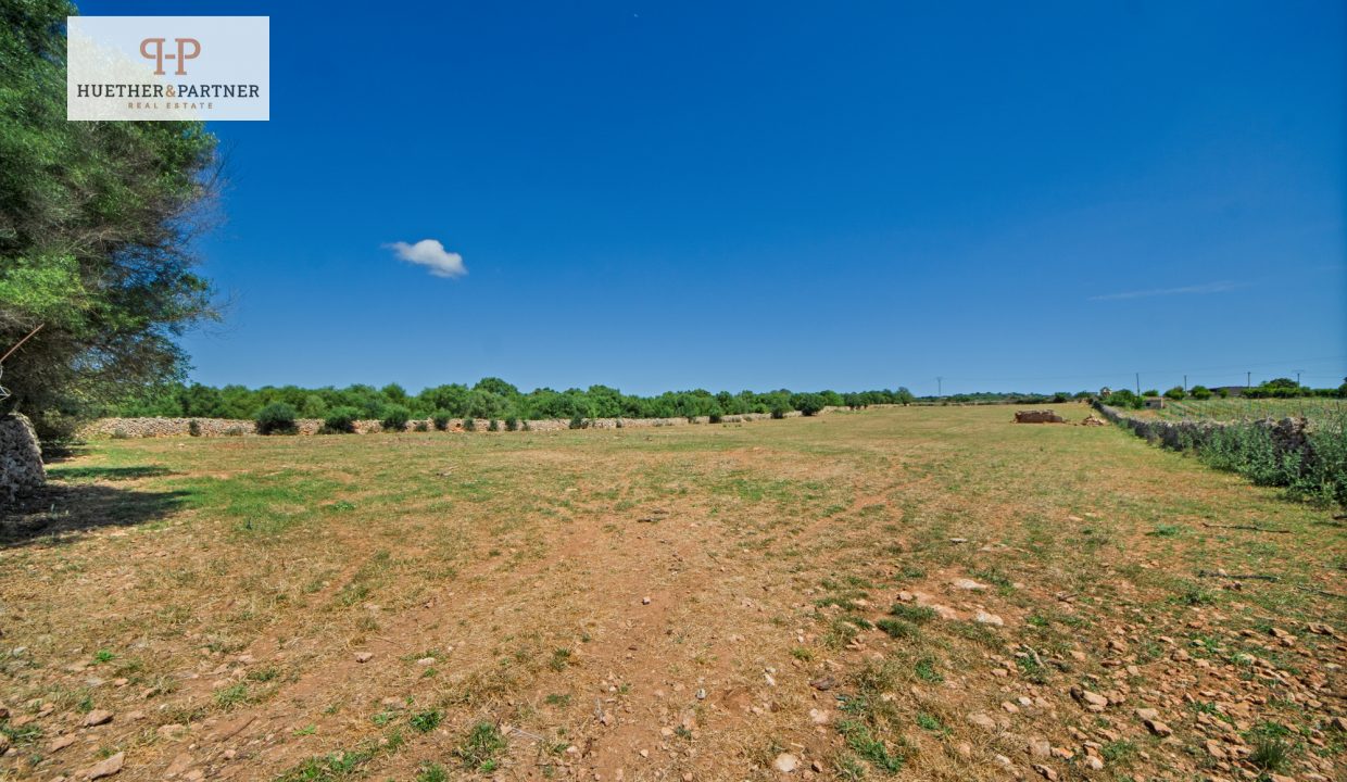 Grundstück Santa Margalida