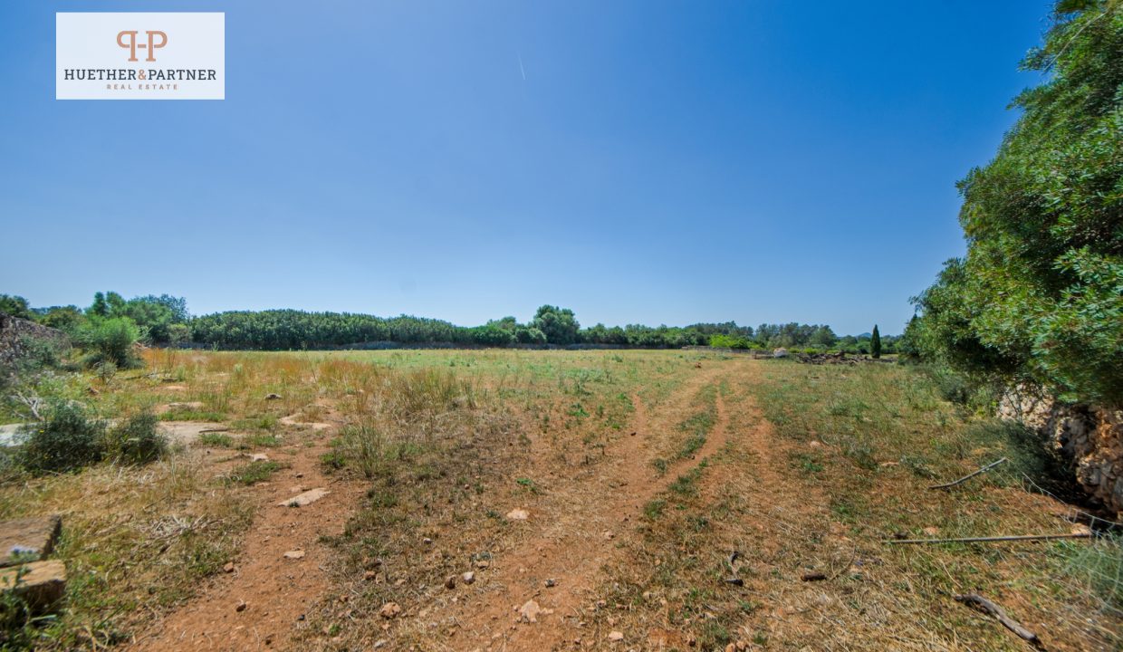 Grundstück Santa Margalida