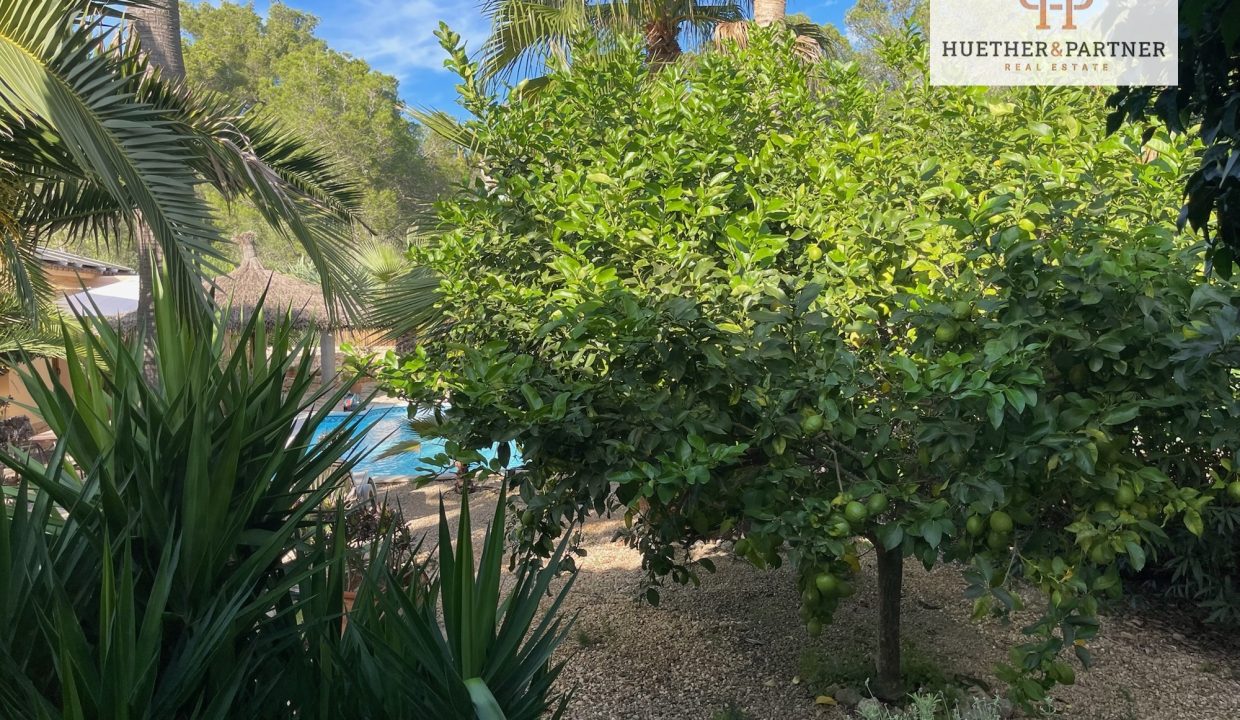 21e01561-ada5-4bc7-835d-211d842ead2a