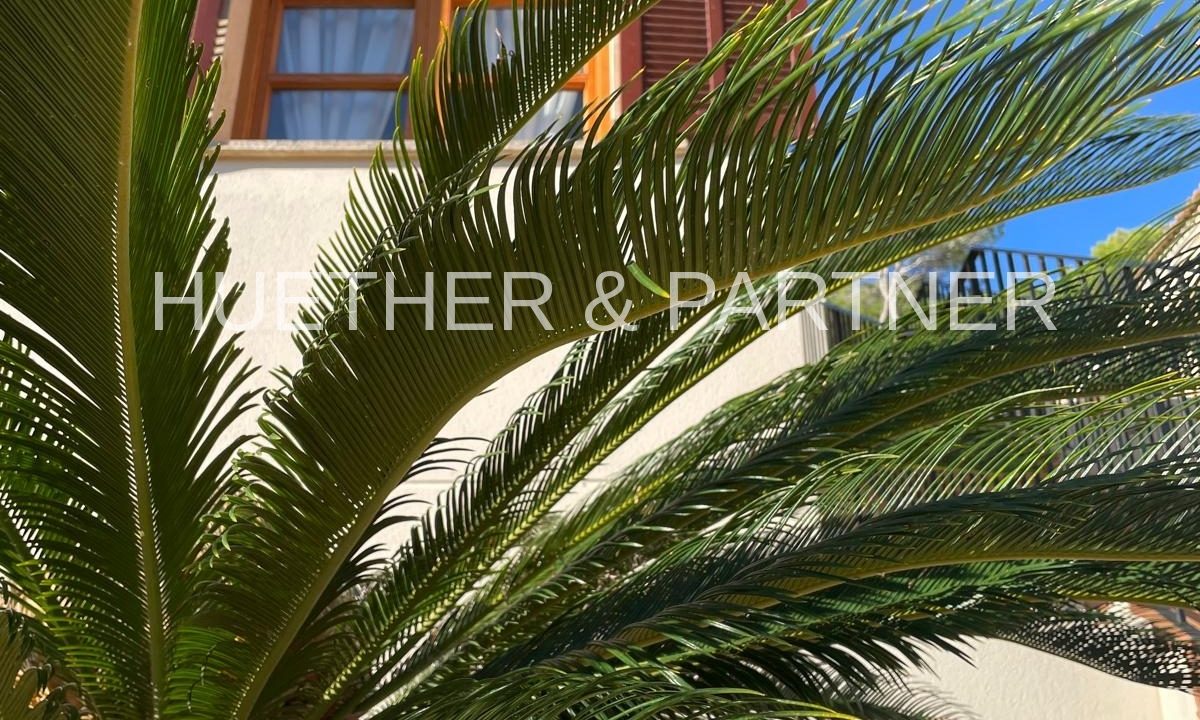 4326b8a8-d1d3-49c7-a7ac-5e074b8d3ec0